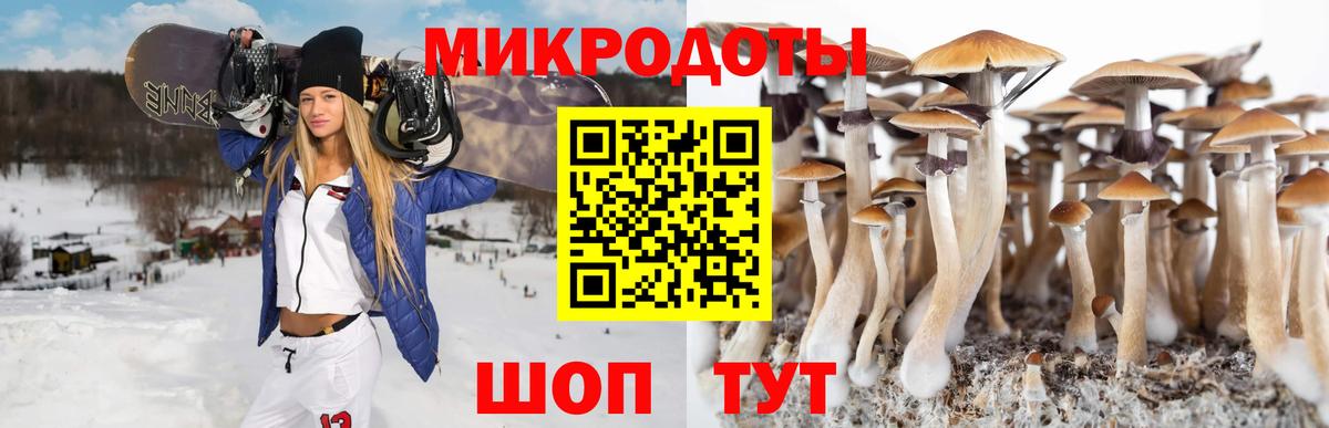 Псилоцибиновые грибы MAGIC MUSHROOMS  Вход с VPN  Псилоцибиновые грибы ЛСД  Углич 