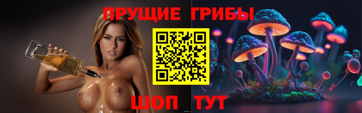 Псилоцибиновые грибы MAGIC MUSHROOMS Углич